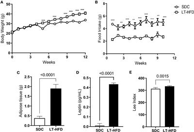 A high-fat diet protects C57BL/6 mice from Plasmodium berghei ANKA infection in an experimental malaria study